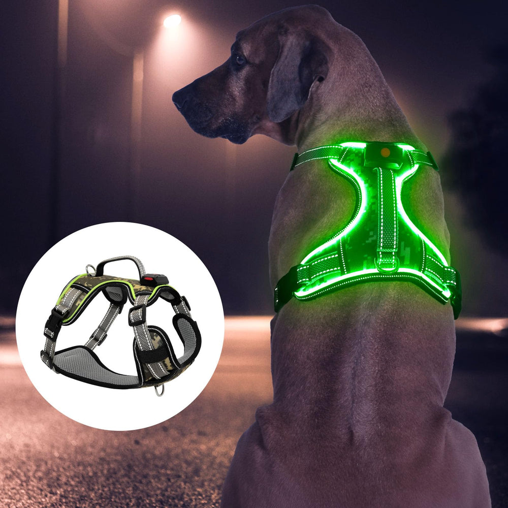BiPawTi luminescent harness on large dog during dusk walk for high visibility