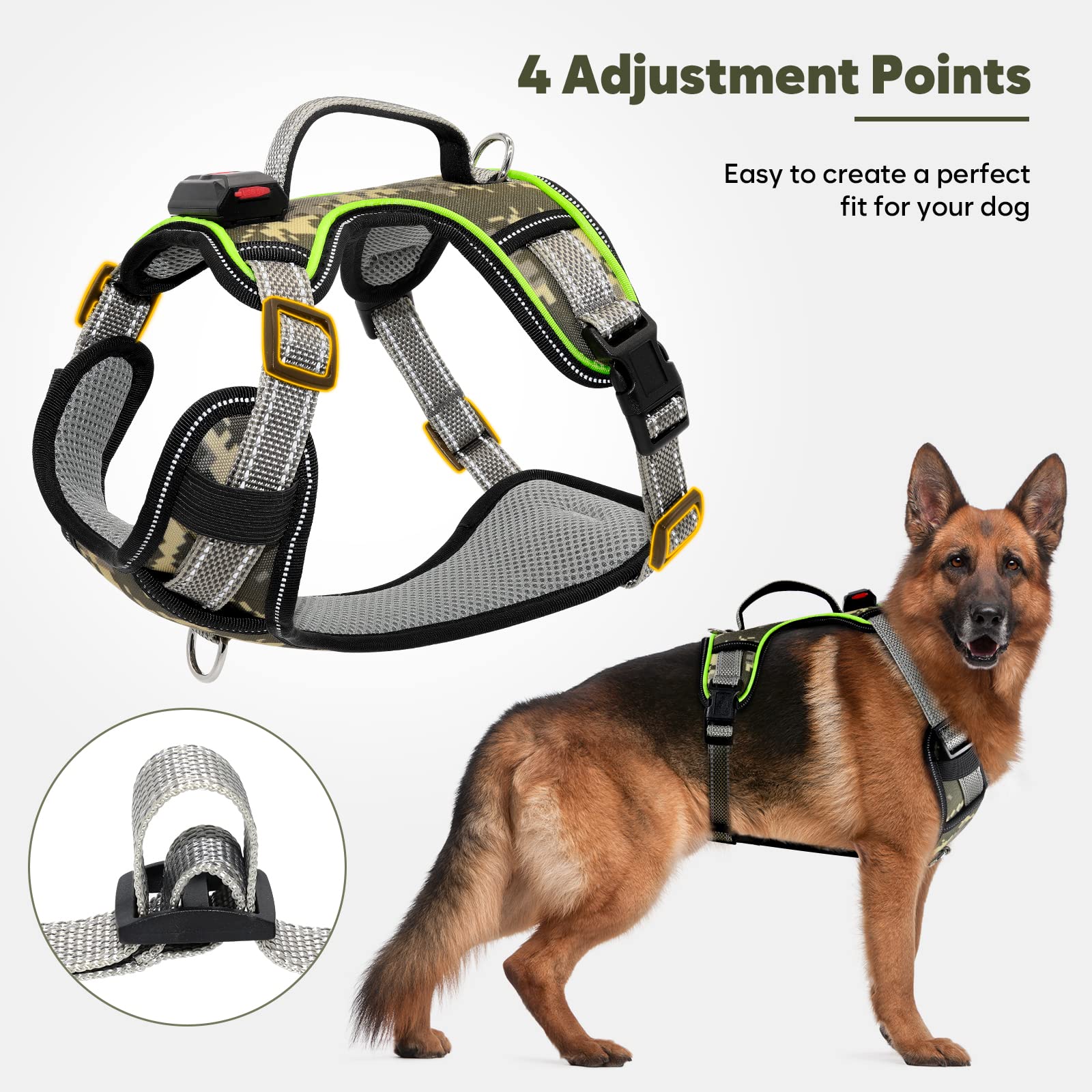 BiPawTi illuminated harness suited for festive outdoor fun and visibility