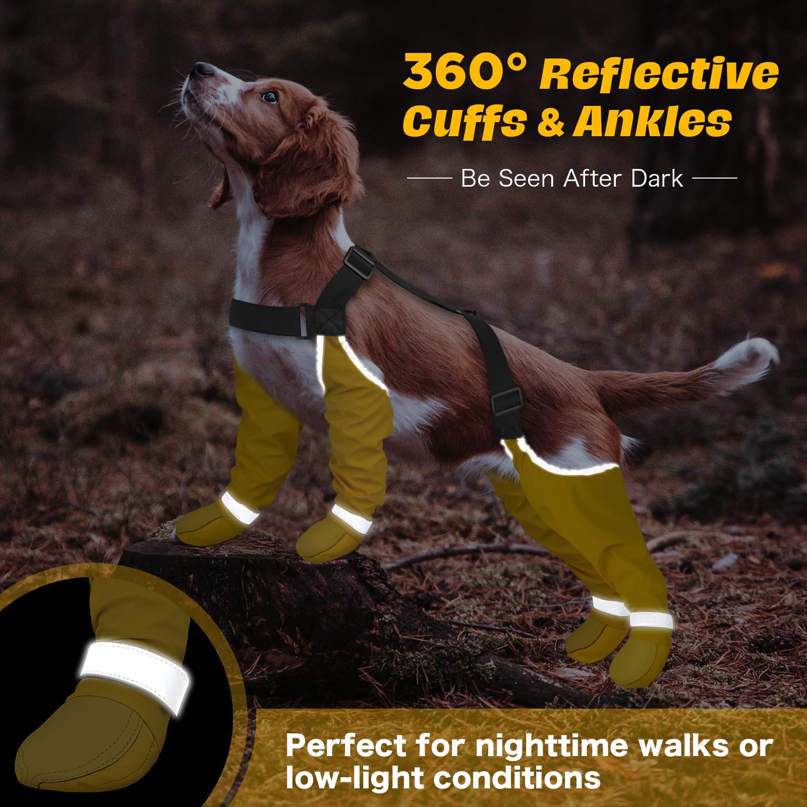 BiPawTi machine-washable design makes post-adventure cleanup quick and easy.