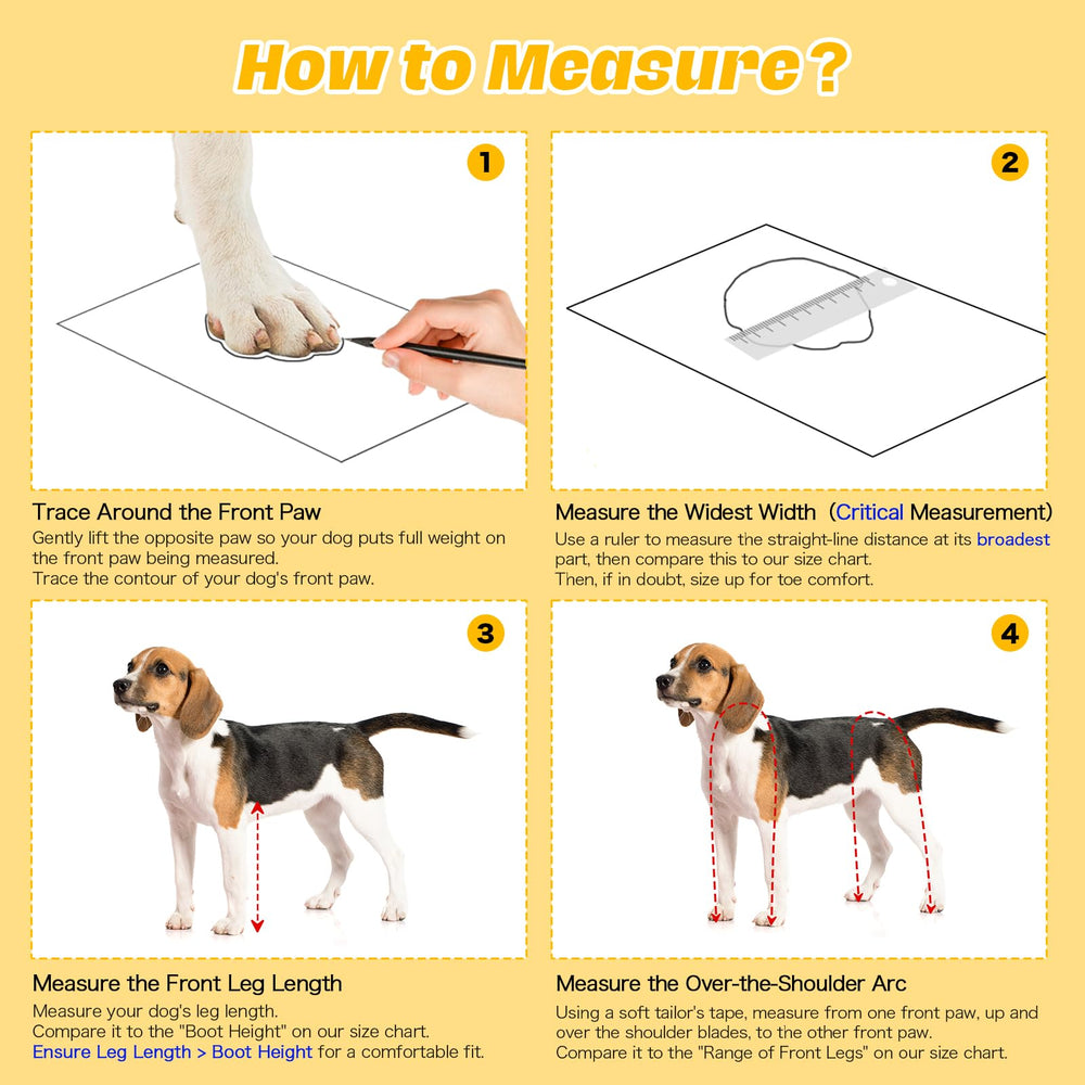 BiPawTi night-time walks with reflective details improve safety and visibility.