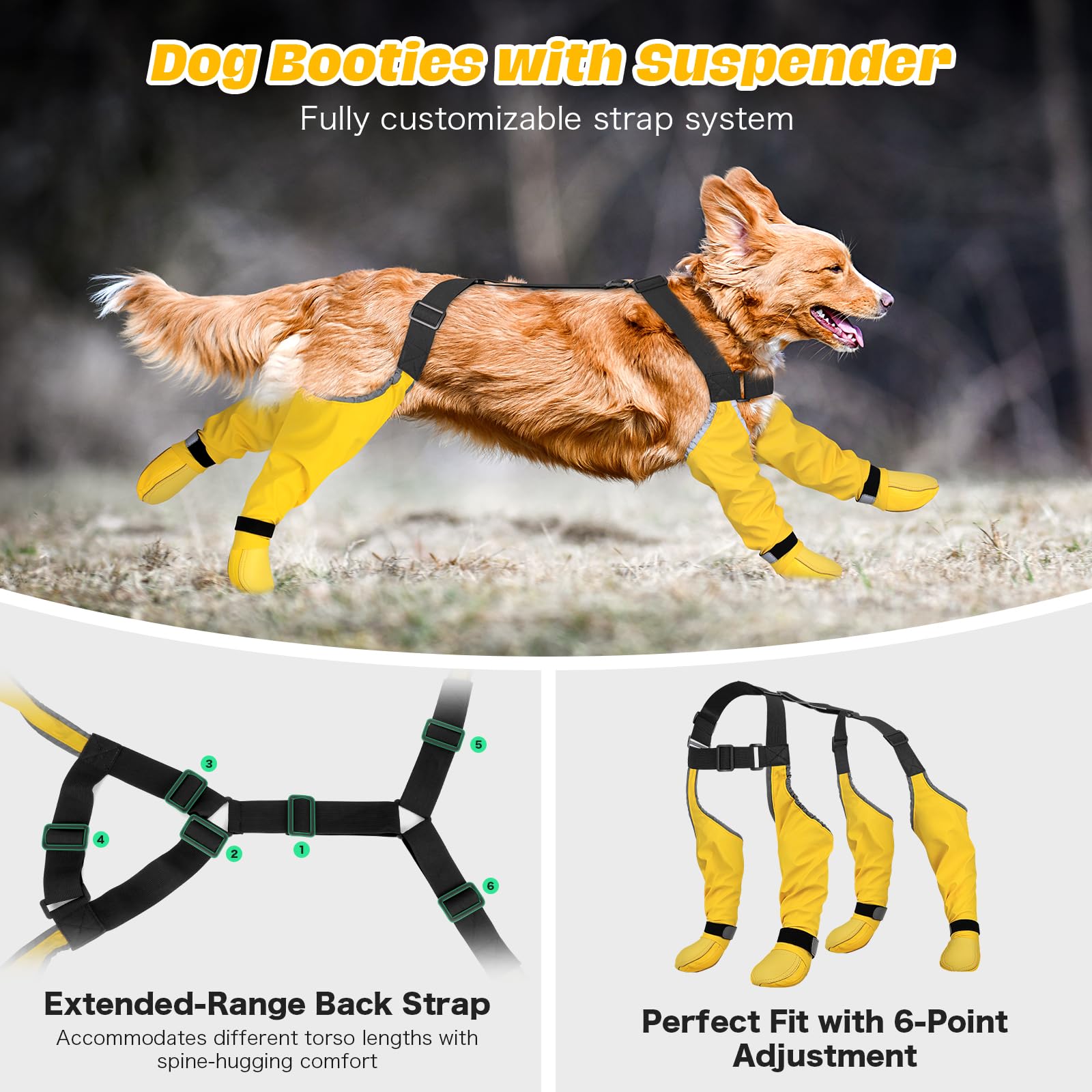 BiPawTi paw protection during hikes shields paws from sharp rocks and debris.