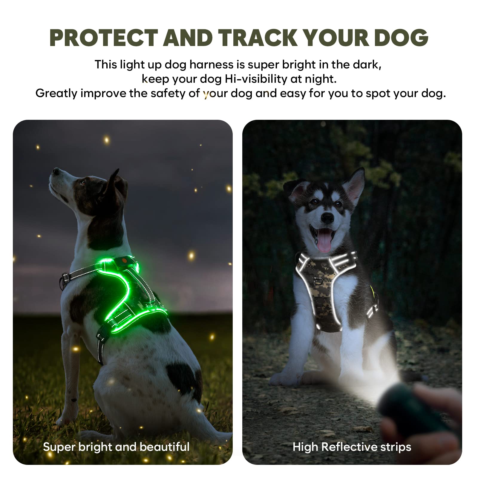 BiPawTi reflective strips glow under headlights along chest area