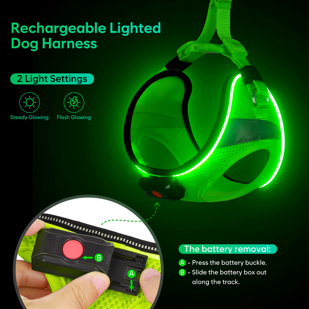 BiPawTi reflective strips enhance nocturnal safety with car headlights.