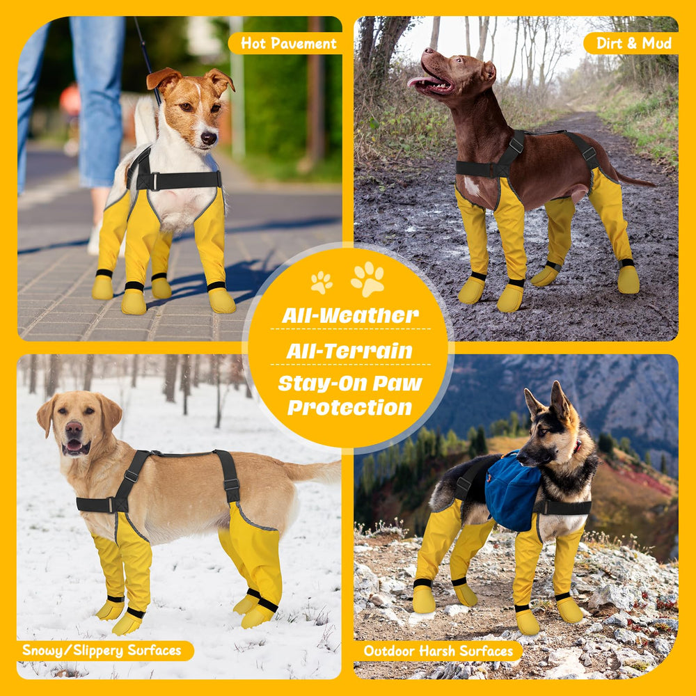 BiPawTi reflective velcro ankle straps enhance nighttime visibility for safe evening walks.