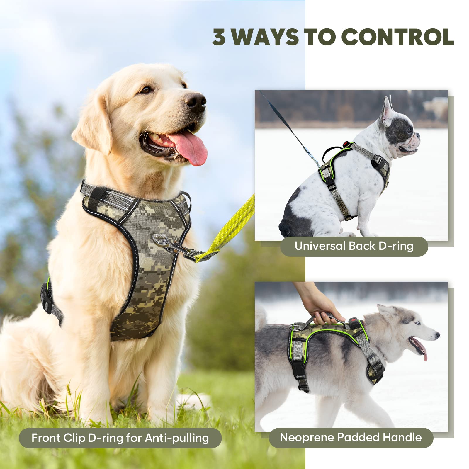 BiPawTi removable battery compartment for easy charging outdoors
