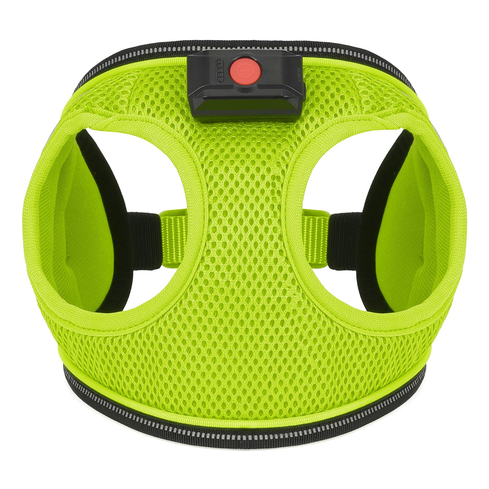 BiPawTi small-breed fit keeps puppies visible and comfortable.