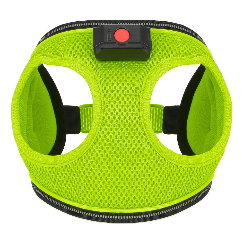 BiPawTi small-breed fit keeps puppies visible and comfortable.