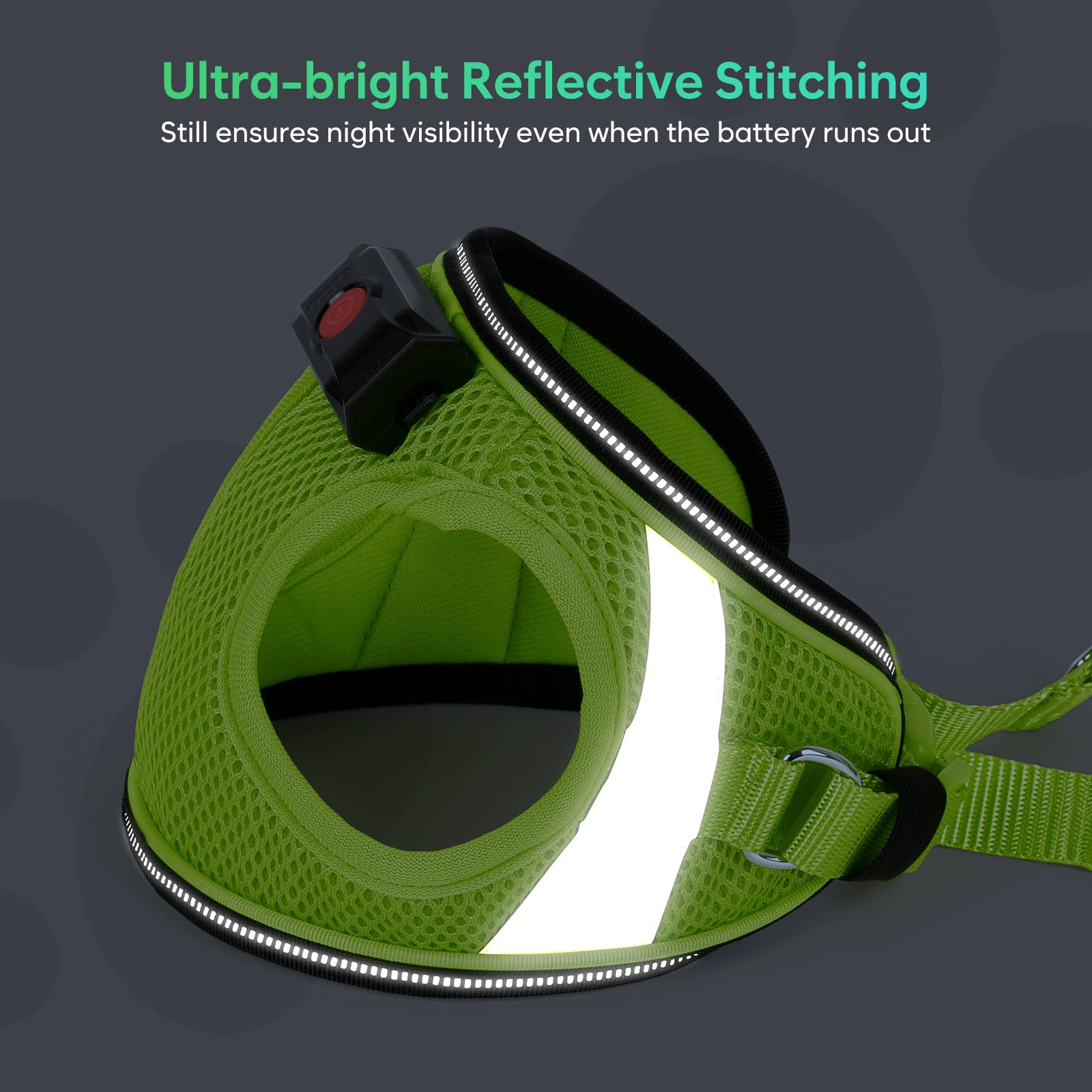 BiPawTi step-in harness enables easy on-off for anxious pets.