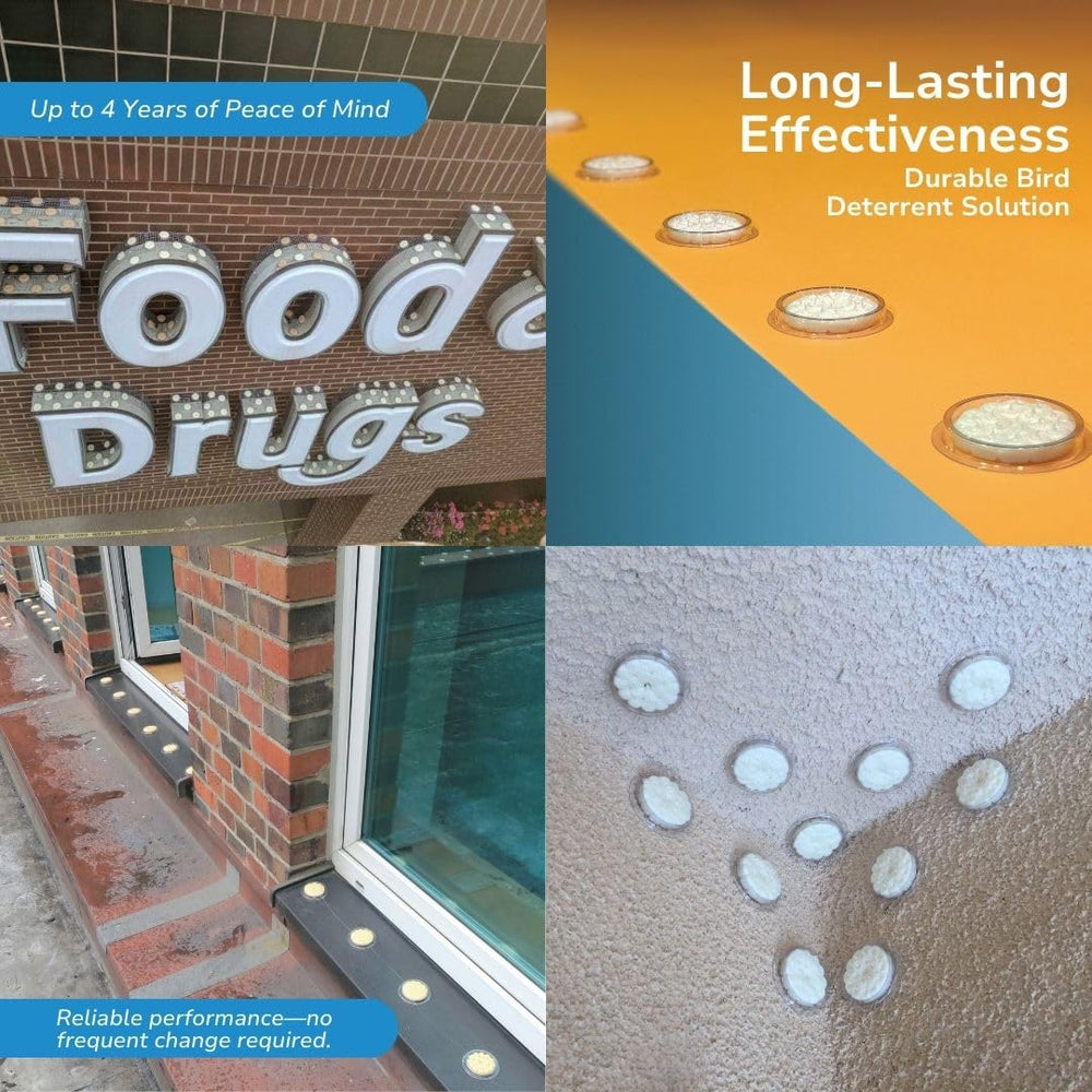 Bird Barrier Optical Gel discs on a parapet cap emphasize discreet, natural deterrent scent.