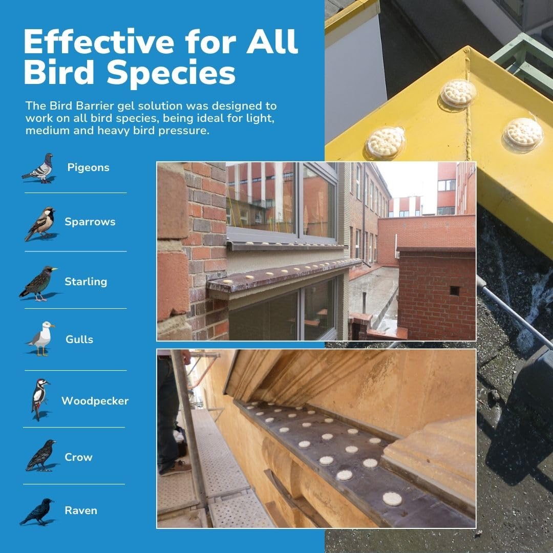 Bird Barrier Optical Gel on a windowsill demonstrates surface-friendly deterrence for homes.