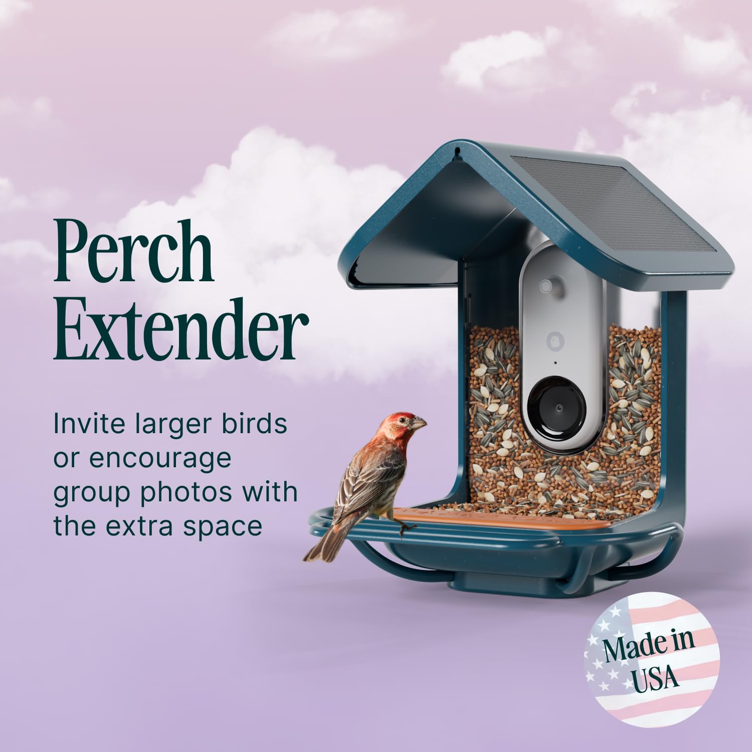 BirdBuddy Blue Perch Extender installed on pole expands perching space for birds