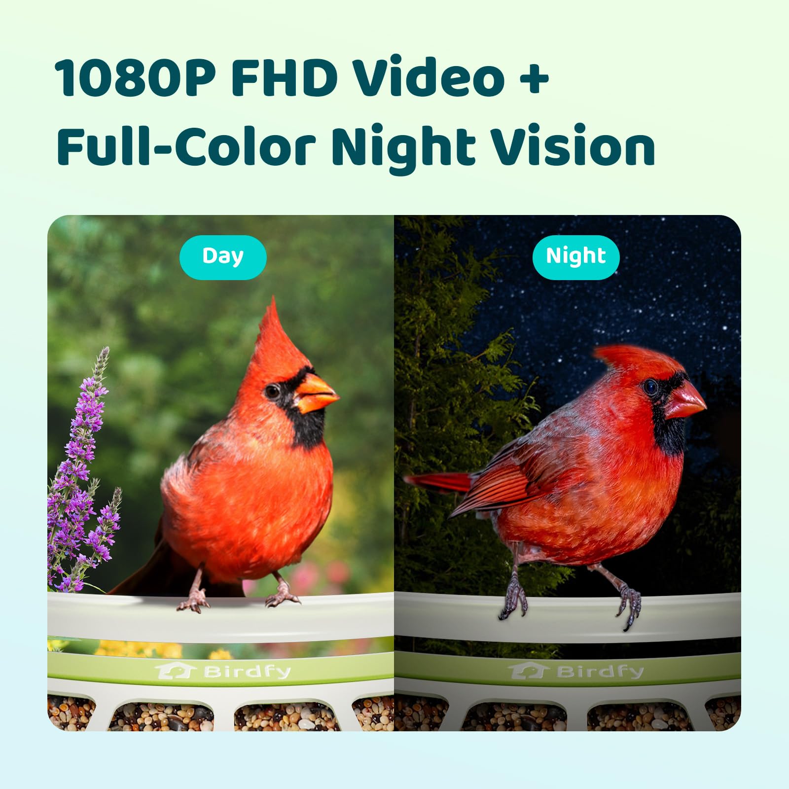 Birdfy 1080p camera with full-color night vision for dusk viewing in your yard.