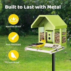 Birdfy green-finish feeder adds vibrant color while attracting songbirds to your garden.