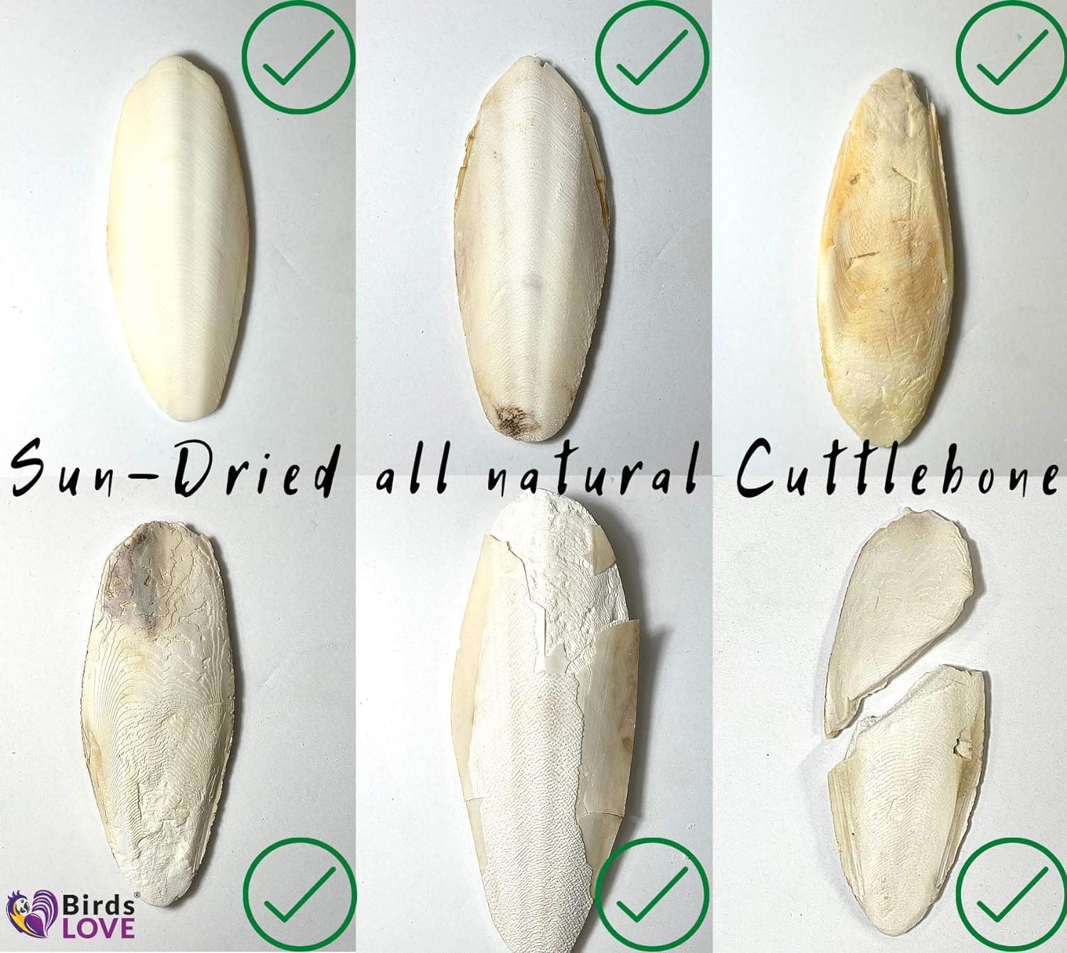 Birds LOVE Cuttlebone bulk case shows 71 pieces and natural variability.