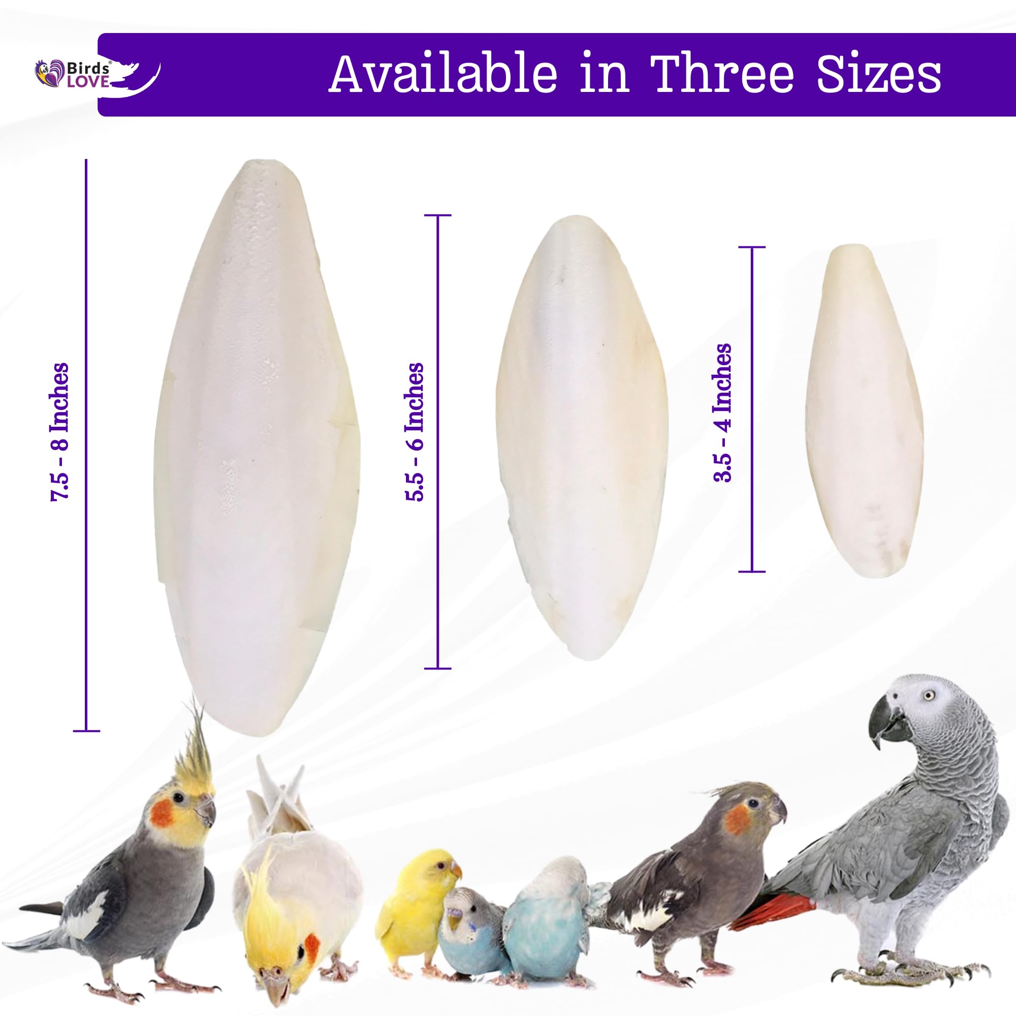 Birds LOVE Cuttlebone hanging clip setup enables easy in-cage placement.