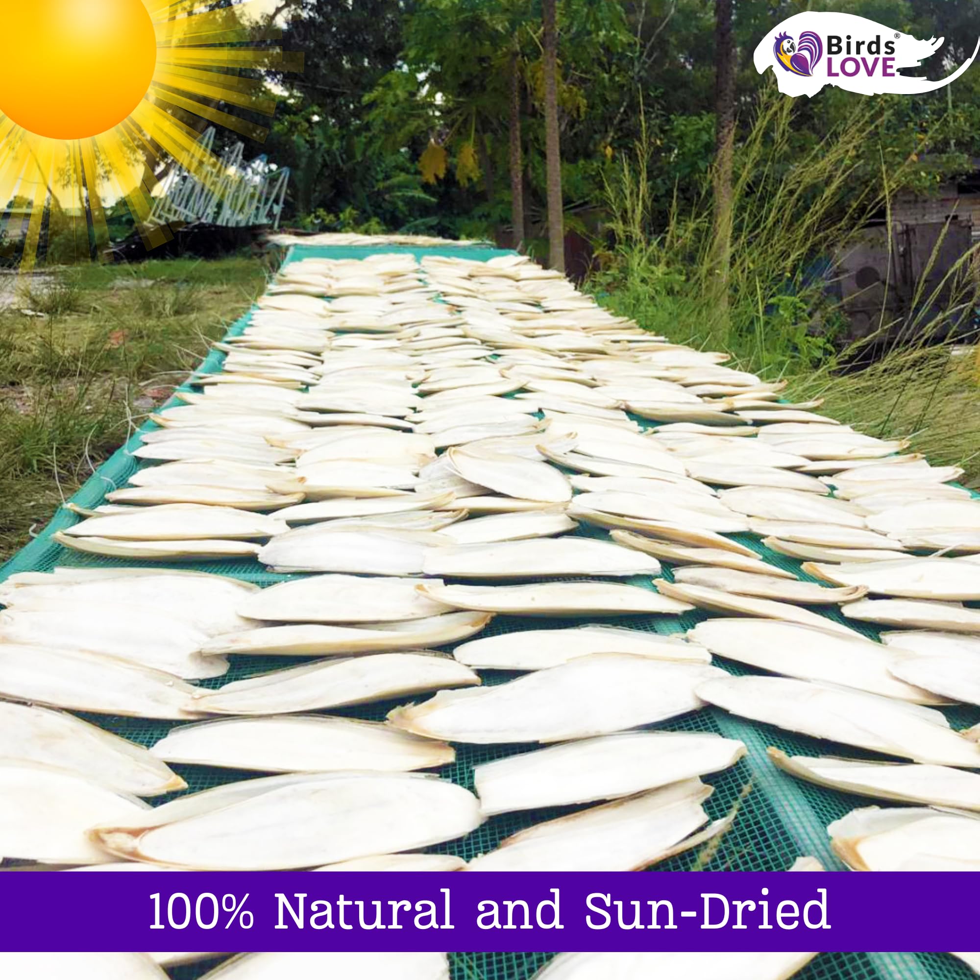 Birds LOVE Cuttlebone is safe for multiple breeds including canaries and parrots.
