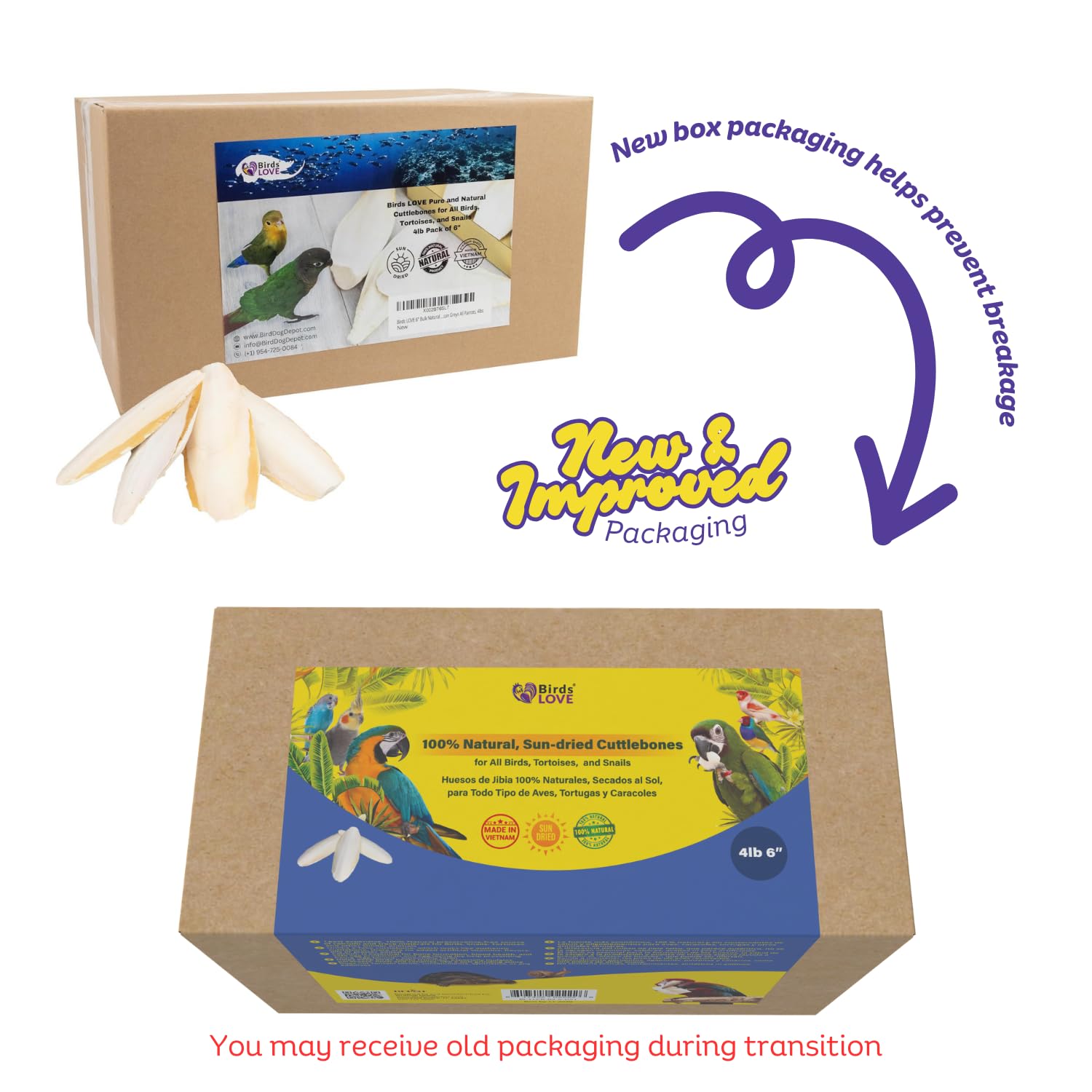 Birds LOVE Cuttlebone sun-dried piece highlights natural calcium for birds.