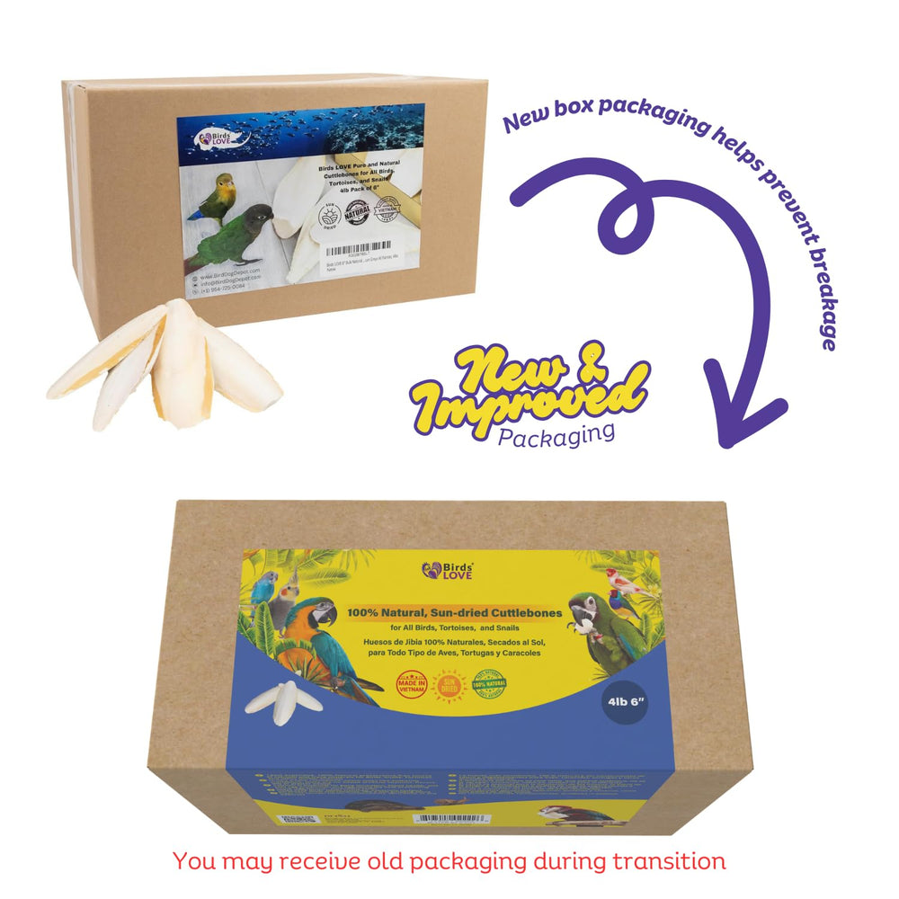 Birds LOVE Cuttlebone sun-dried piece highlights natural calcium for birds.