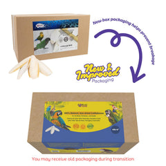 Birds LOVE Cuttlebone sun-dried piece highlights natural calcium for birds.