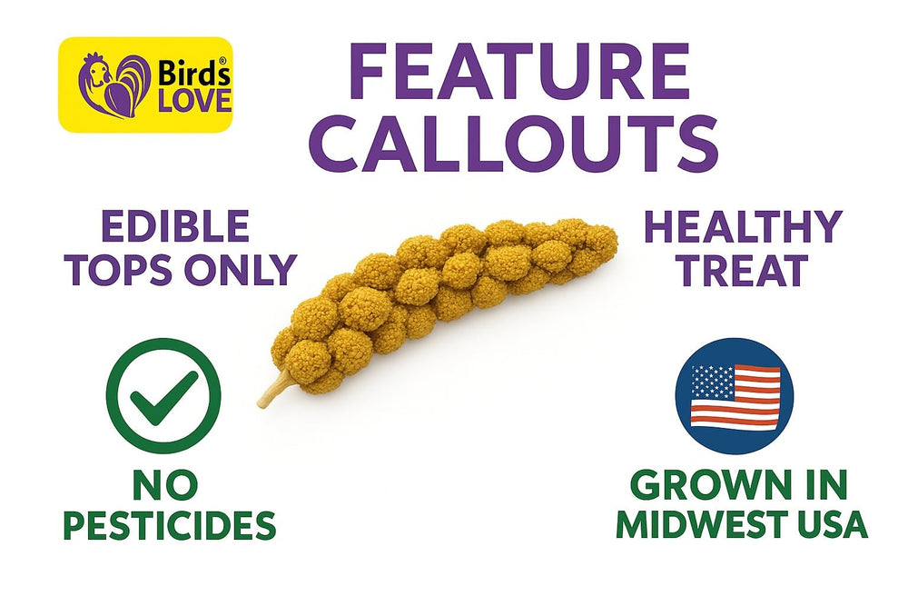 Birds LOVE Economy millet edible tops image shows waste reduction and easy serving.