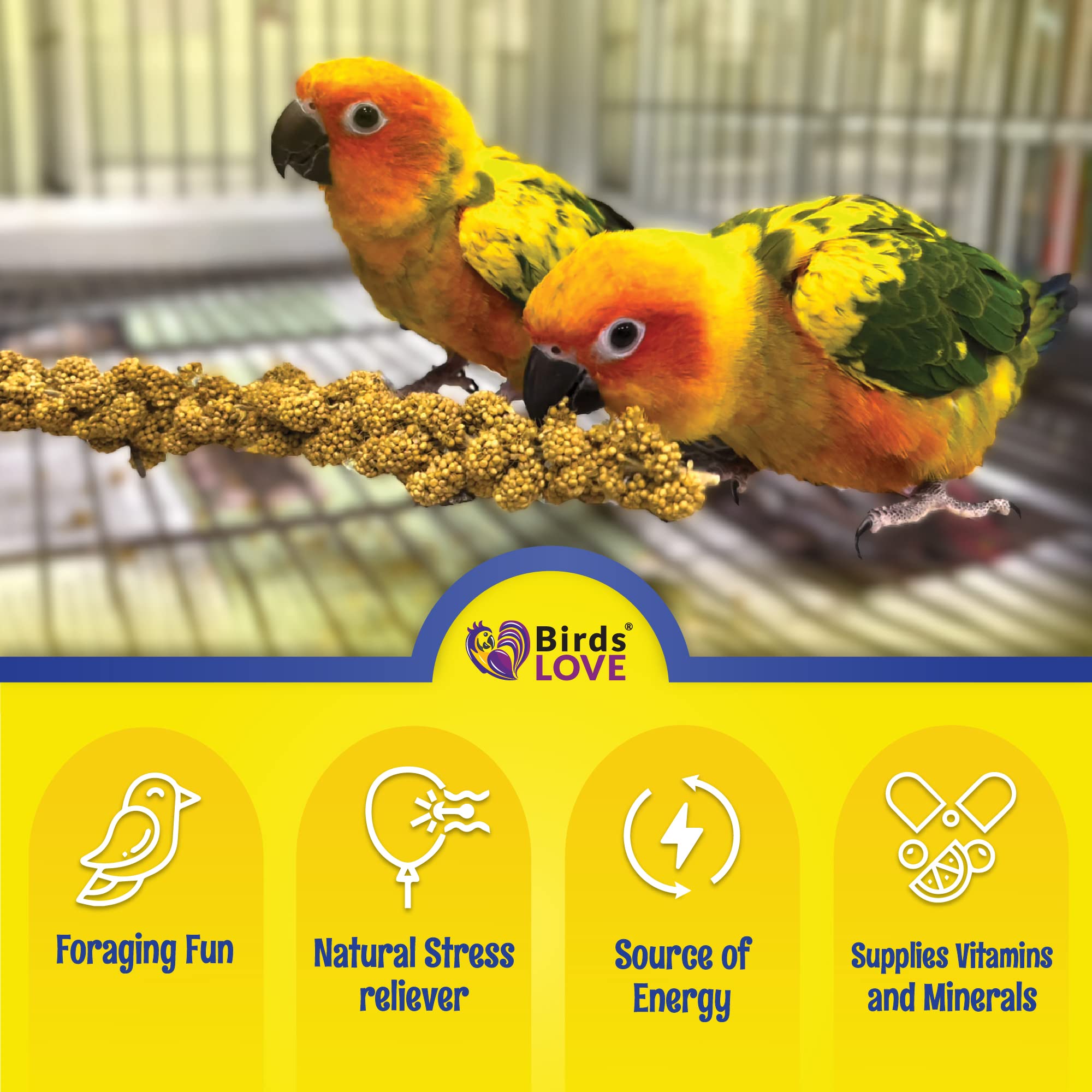 Birds LOVE Economy spray millet handful highlights 100% edible millet.