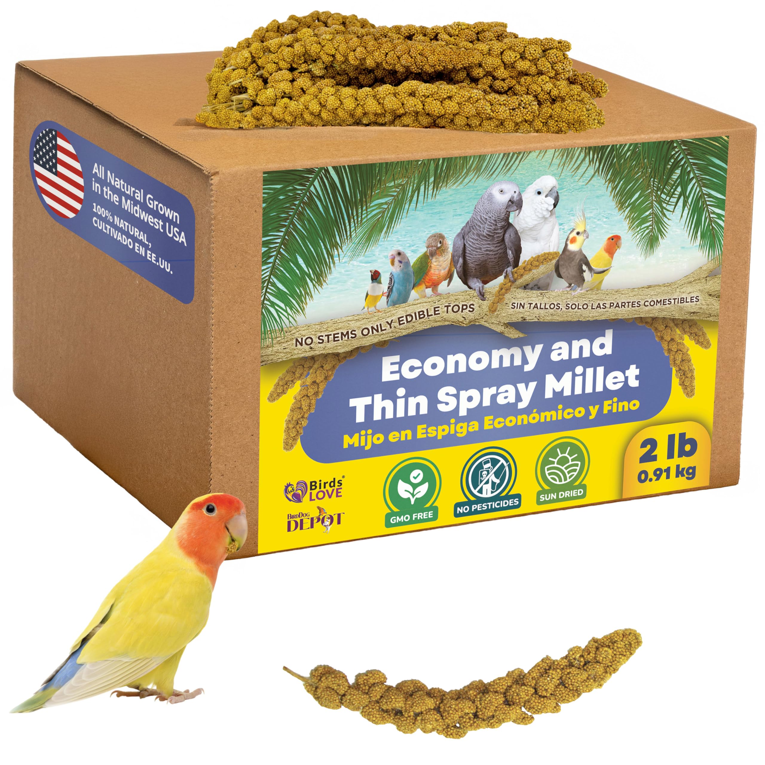 Birds LOVE Economy spray millet package ready for easy feeding and freshness.