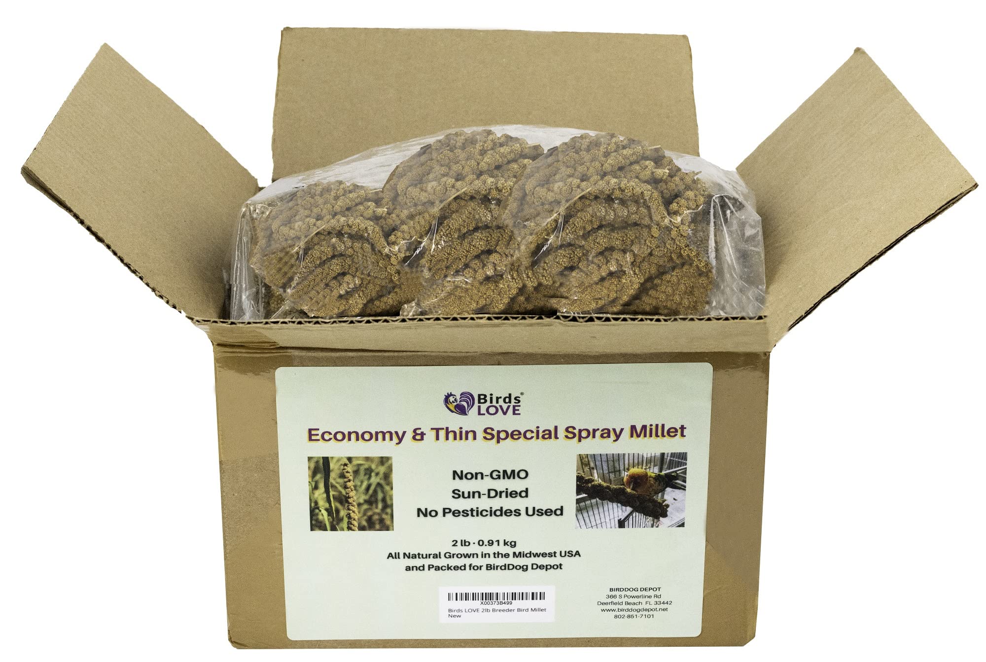 Birds LOVE millet spray sprouting benefits and fresh feed options.