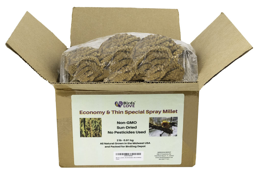 Birds LOVE millet spray sprouting benefits and fresh feed options.