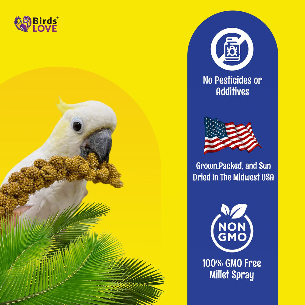 Birds LOVE Economy spray millet storage scene shows cool, bug-free pantry-friendly shelf