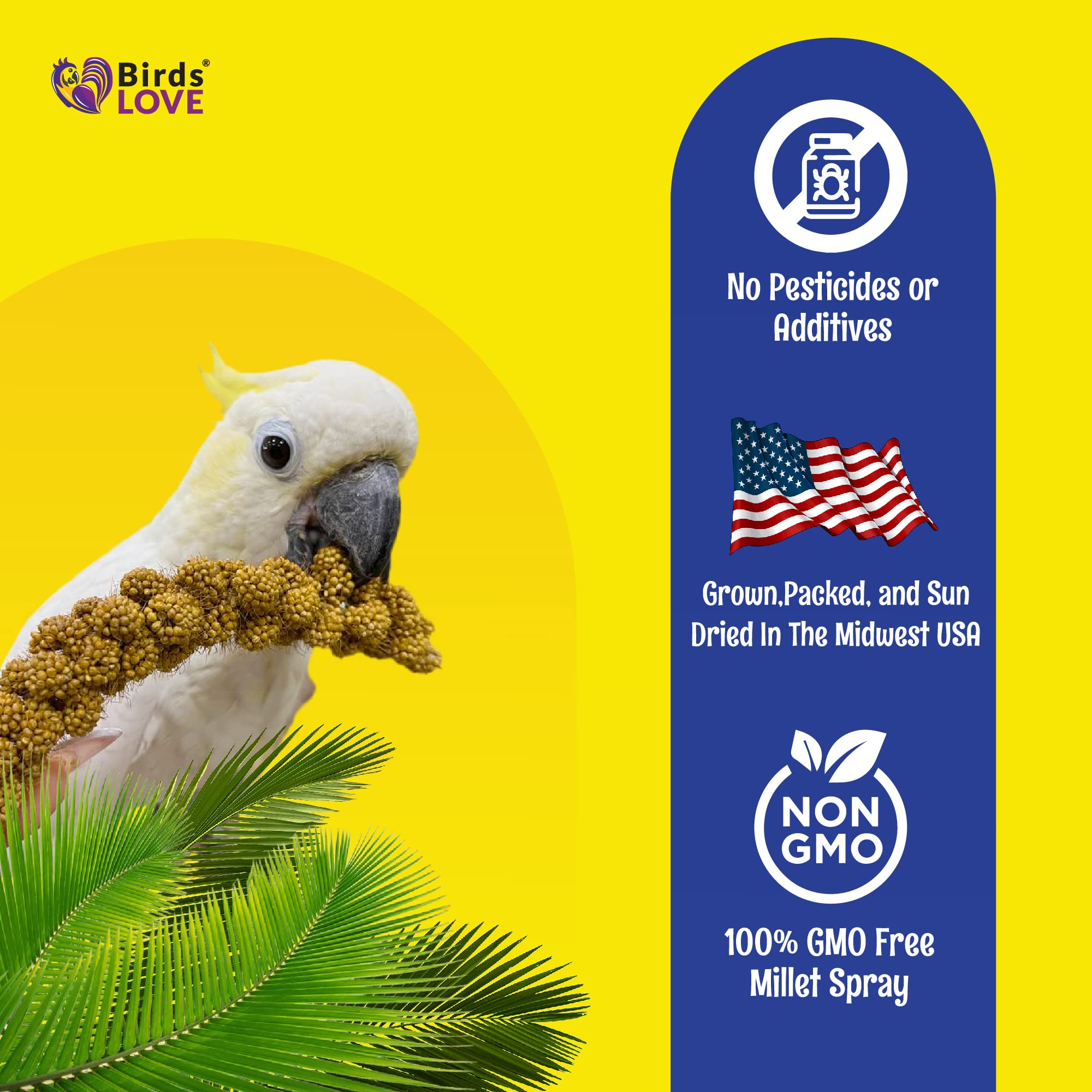 Birds LOVE opción natural, sin químicos, para enriquecer la rutina de aves.