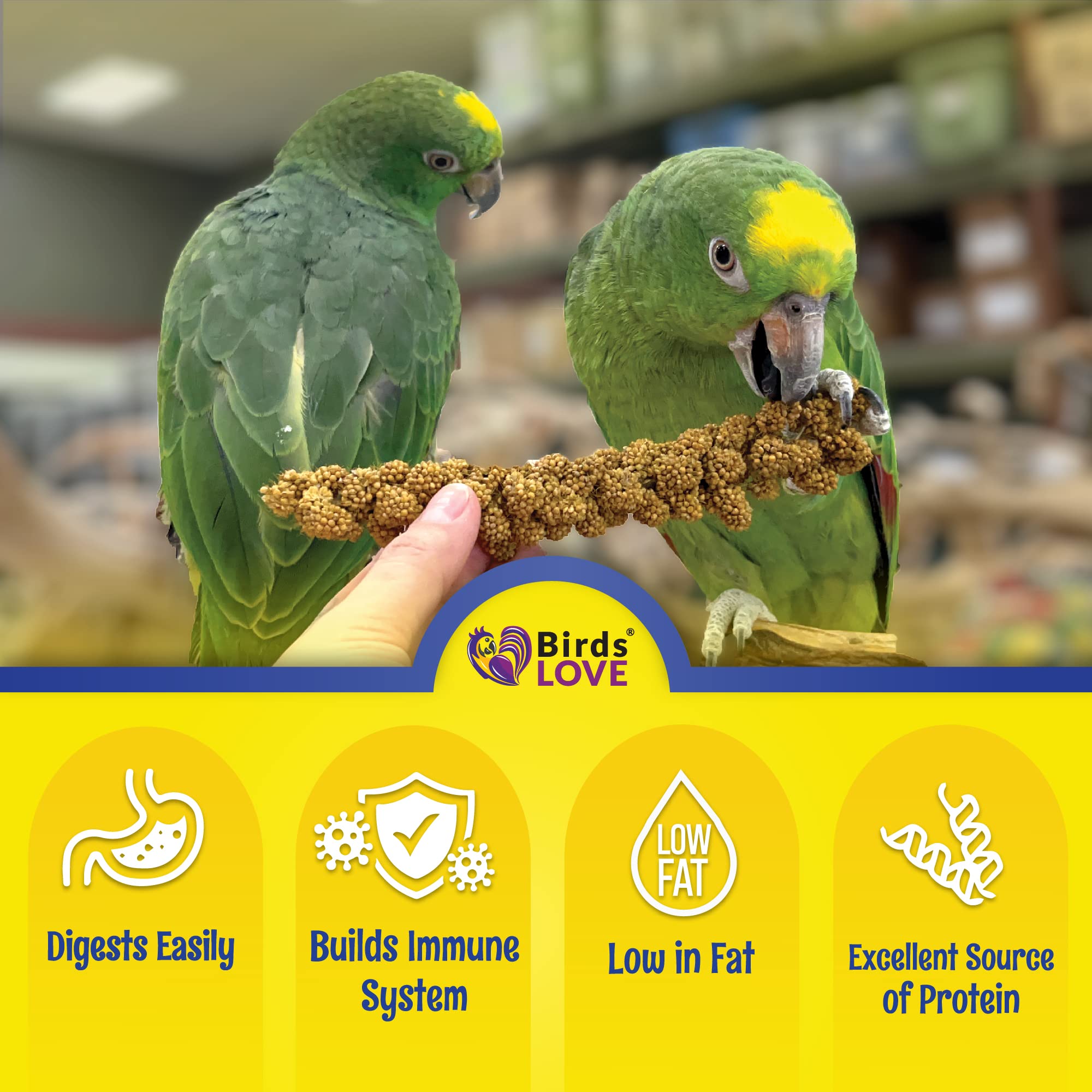 Birds LOVE mijo sin tallos, listo para alimentar a tus aves.