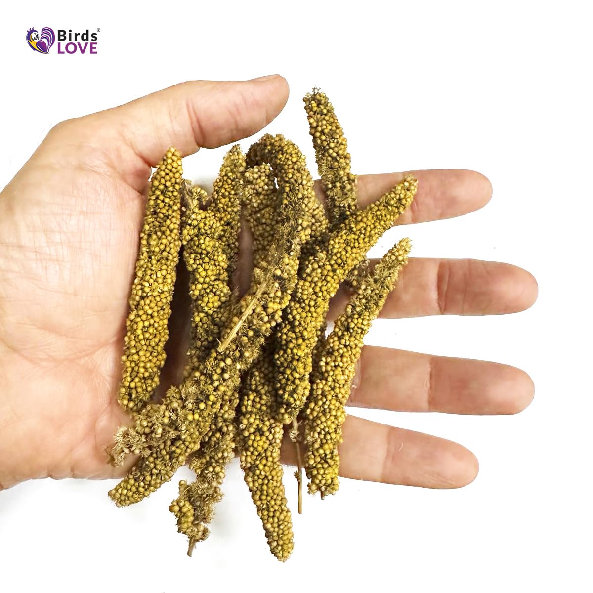 Birds LOVE Millet Tips & Tails: aves picoteando en jaula