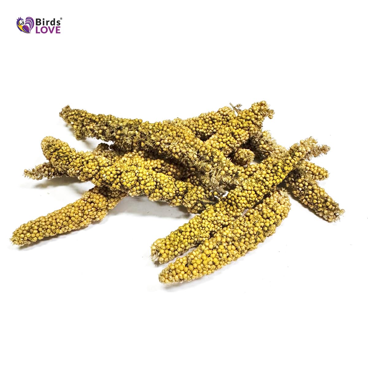Birds LOVE Millet Tips & Tails: envase de 1 libra para aves