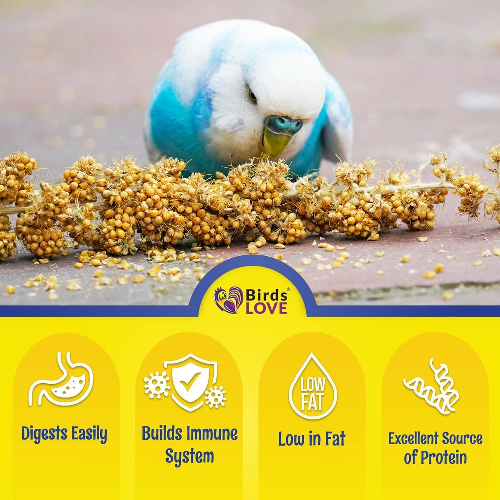 Birds LOVE Millet Tips & Tails: fomenta el forraje natural