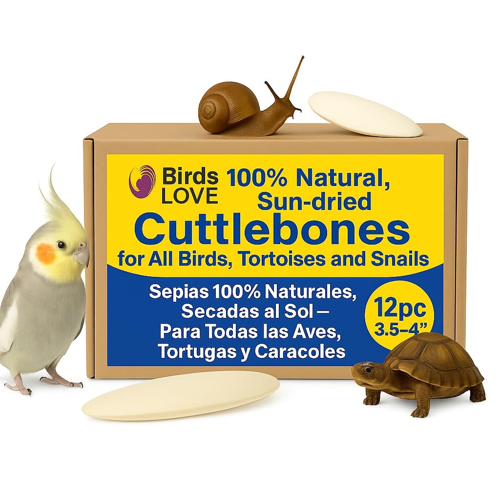 Birds LOVE Natural Cuttlebone front close-up; calcium-rich enrichment for parakeets and birds.