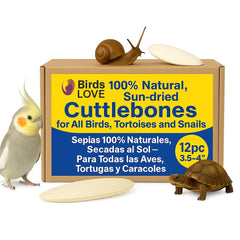 Birds LOVE Natural Cuttlebone front close-up; calcium-rich enrichment for parakeets and birds.