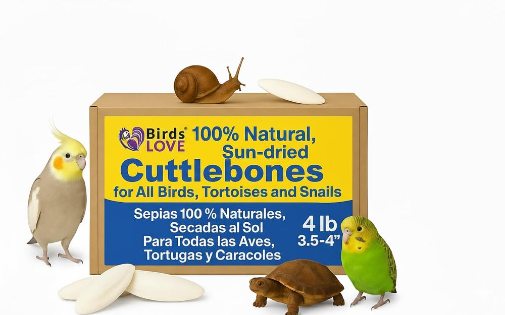 Birds LOVE natural cuttlebone packaging shows 4lb option for quick cage setup.