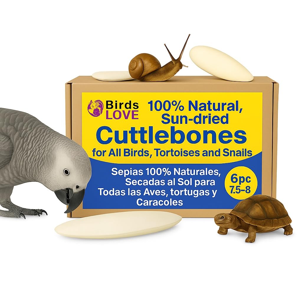 Birds LOVE Natural Cuttlebone packaging in box demonstrates bulk calcium enrichment