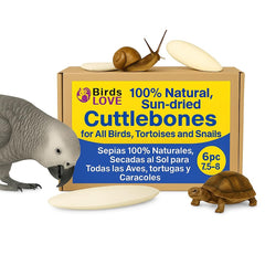 Birds LOVE Natural Cuttlebone packaging in box demonstrates bulk calcium enrichment