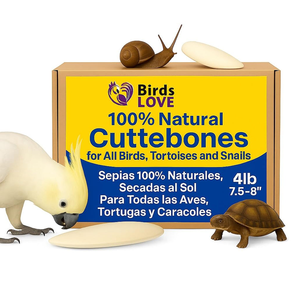 Birds LOVE natural cuttlebone packaging shows premium calcium for beak health