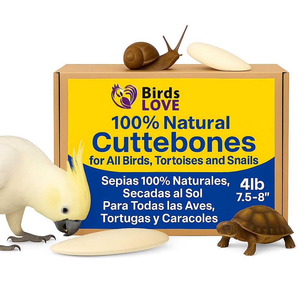 Birds LOVE natural cuttlebone packaging shows premium calcium for beak health