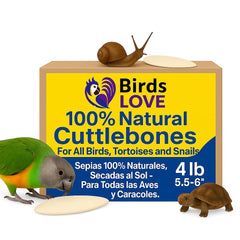 Birds LOVE Natural Cuttlebone packaging displays premium calcium for beak conditioning.