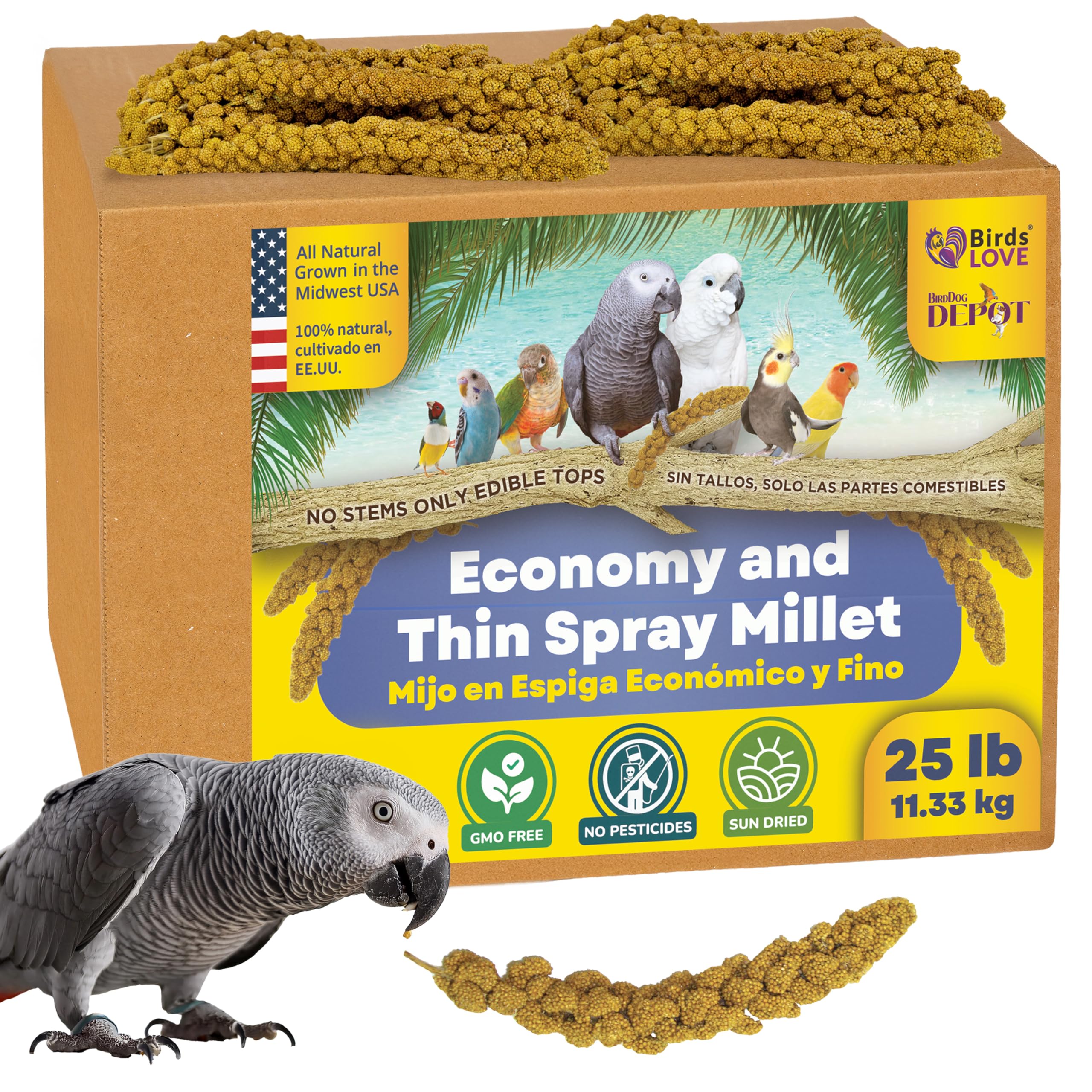 Birds LOVE spray millet in a 25lb box for bulk bird treats.