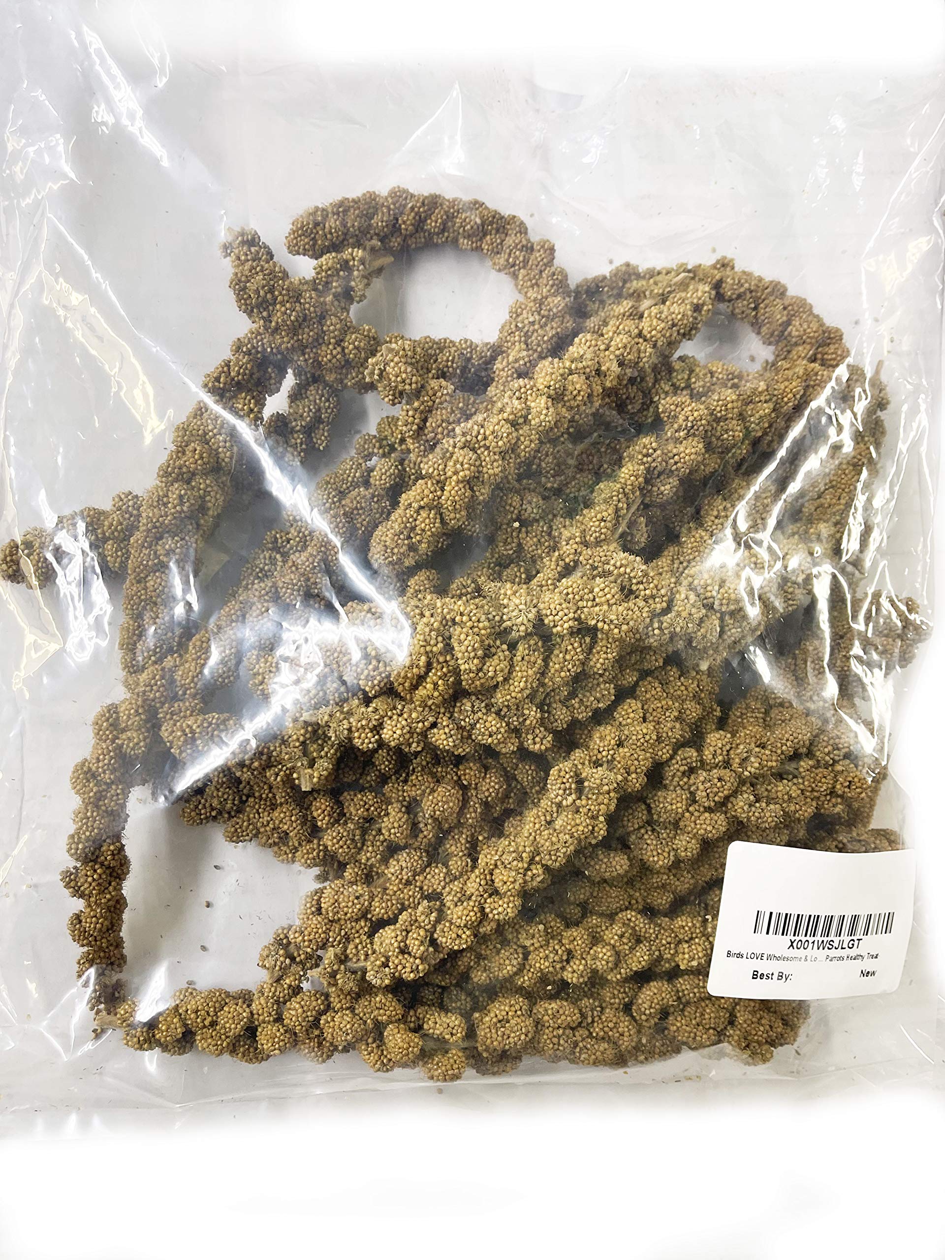 Birds LOVE spray millet closeup edible tops highlights tasty, stem-free grains for birds.