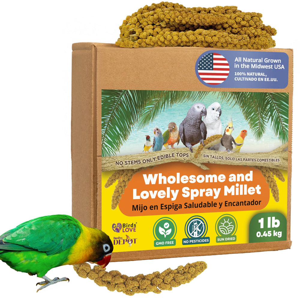 Birds LOVE spray millet edible tops package shows convenient packaging for easy feeding.