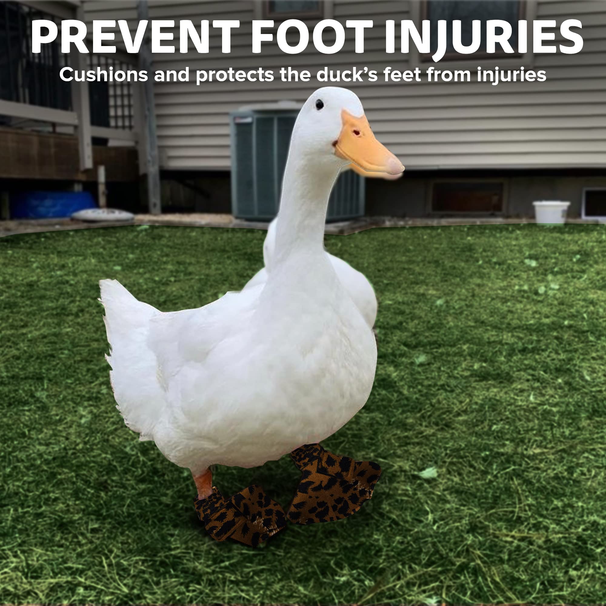 Birdy Bootie all-weather design supports year-round outdoor use for birds