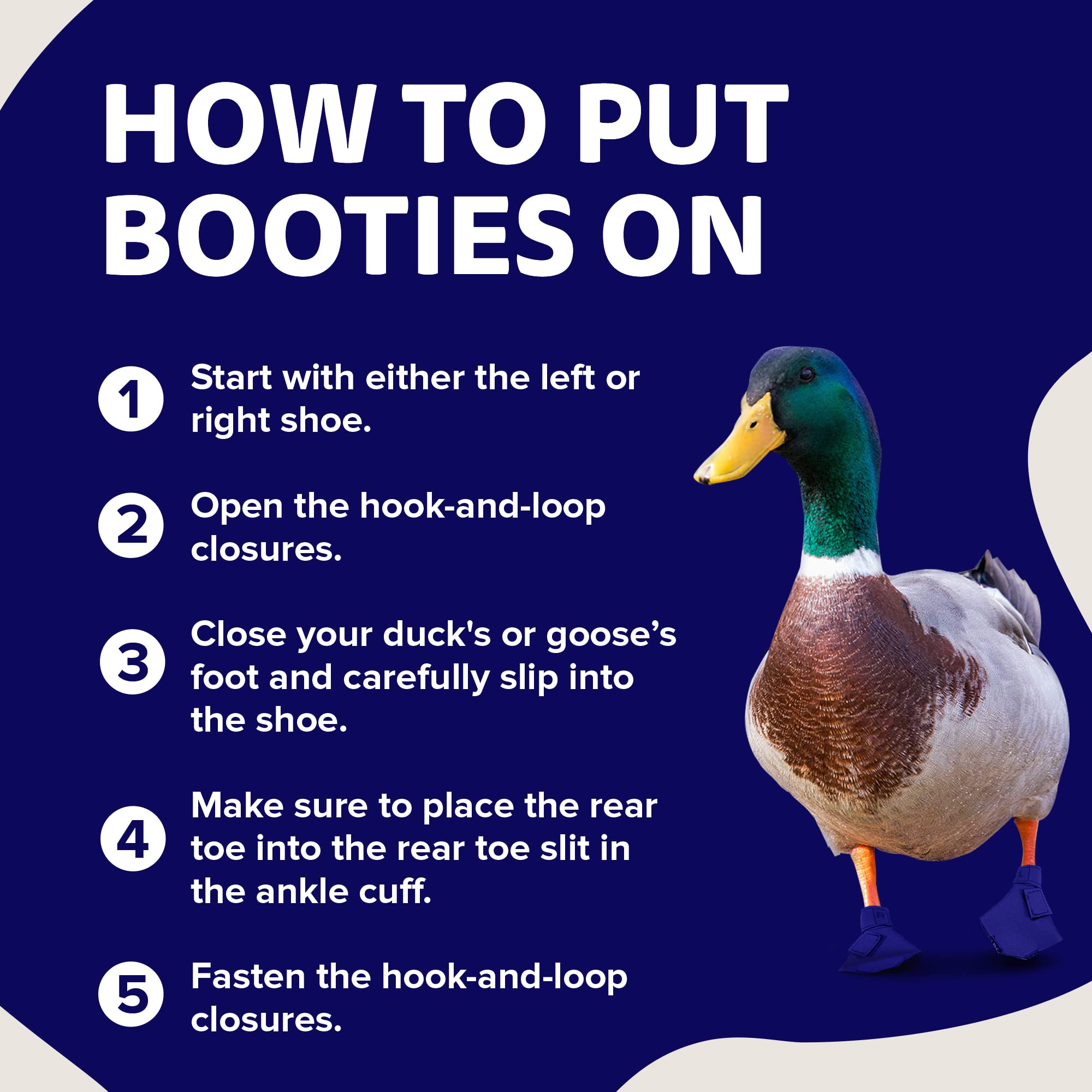 Birdy Bootie four-sizes chart shows fit options.