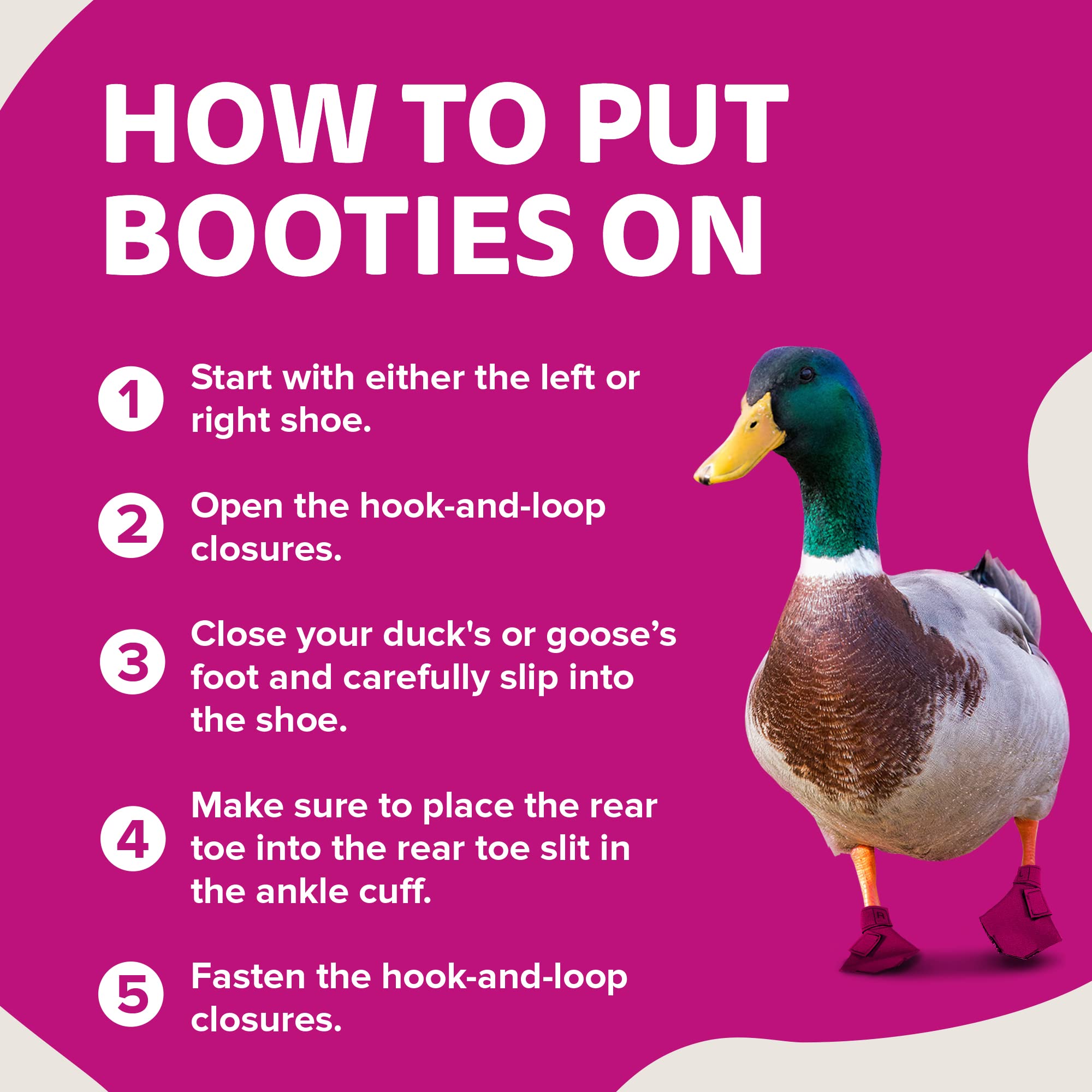Birdy Bootie all-season use image demonstrates protection in rain or shine.