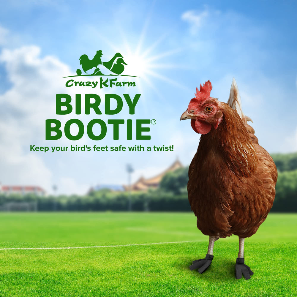 Birdy Bootie leopard style on chicken foot enhances safety during gentle walks.