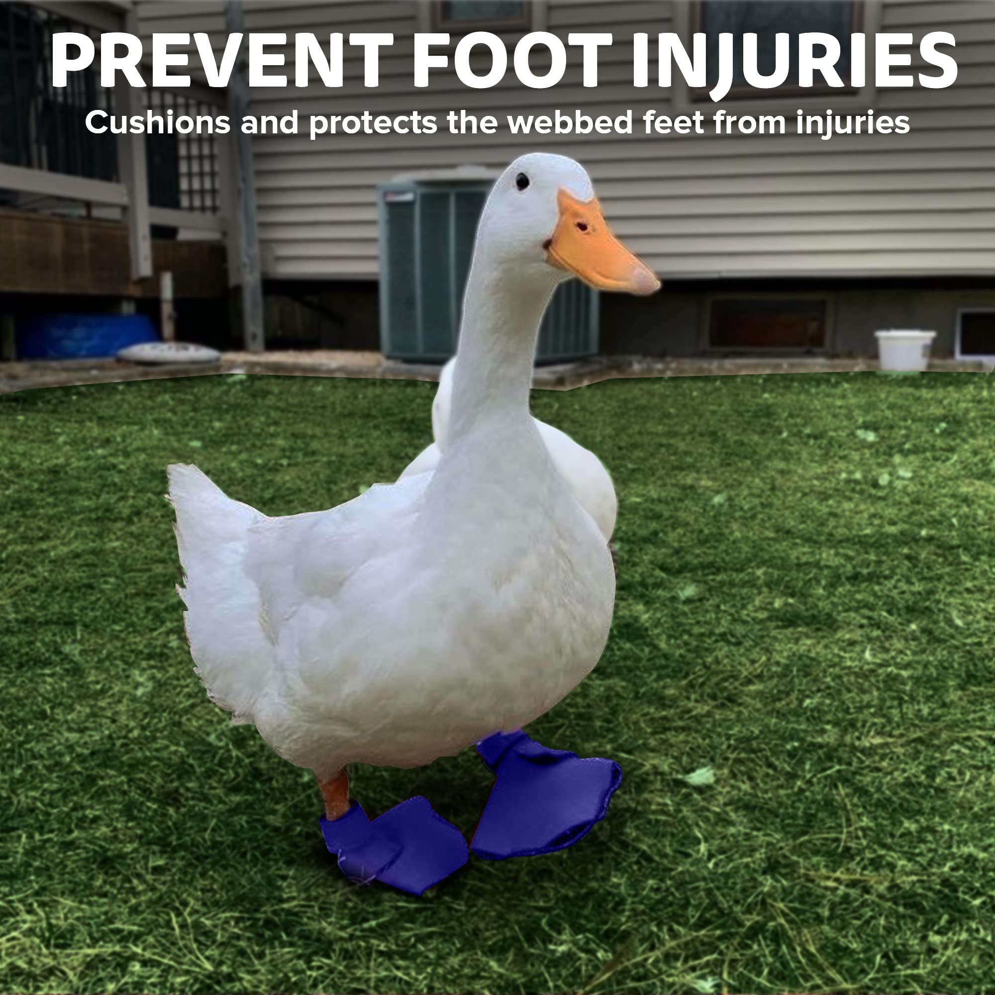 Birdy Bootie nylon-covered neoprene top detail demonstrates tear resistance.